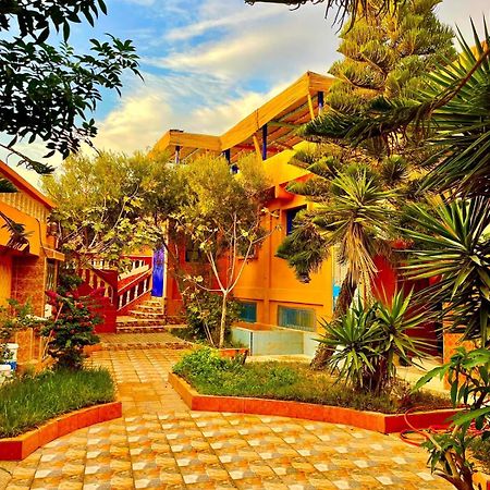 Bed and Breakfast Surf & Salsa Ocean House Tamraght Екстер'єр фото