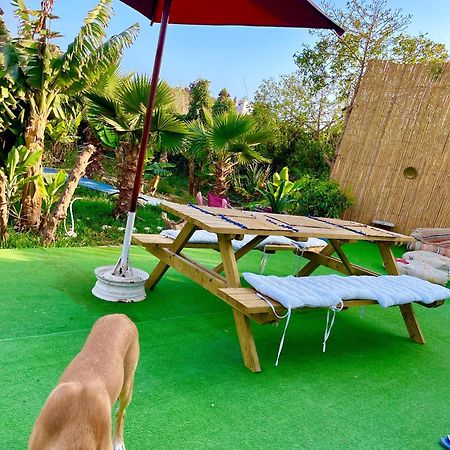 Bed and Breakfast Surf & Salsa Ocean House Tamraght Екстер'єр фото