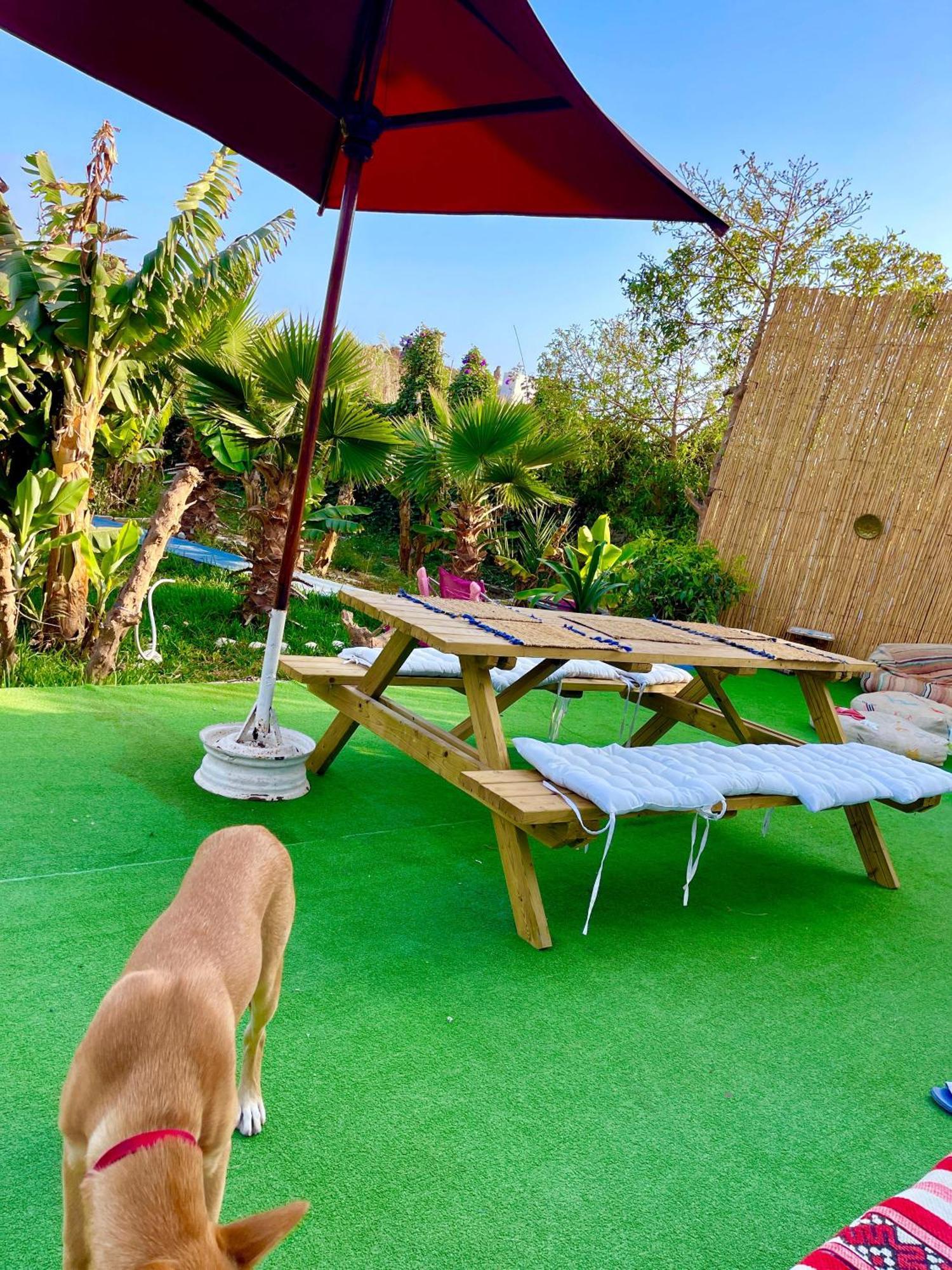 Bed and Breakfast Surf & Salsa Ocean House Tamraght Екстер'єр фото